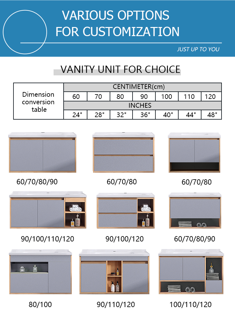 Wall Mounteed vanity Cabinet Series.jpg