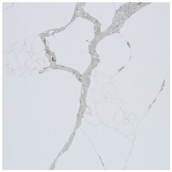 کوارتز کالاکاتا براوو